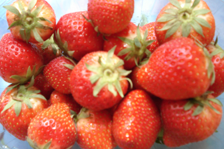 strawberries07a.jpg